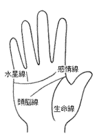 男女ともやっぱり気になる金運の手相 3つの早わかりポイント 月とスコップ